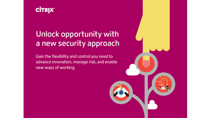 Citrix whitepaper seguridad